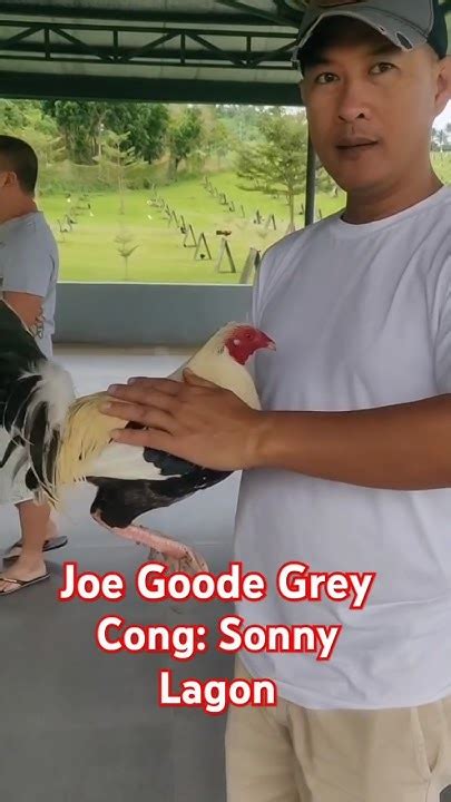 sonny lagon gamefarm|Inside Cong. Sonny Lagon's Exclusive Breeding Pens .